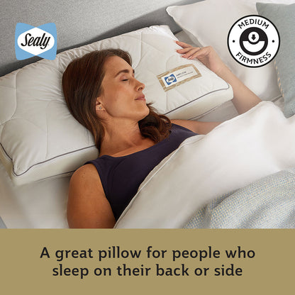 Sealy Memory Airflow Pillow - Nonynana