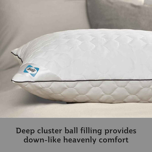 Sealy Deeply Full Pillow 2 Pack - Nonynana