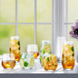 King Crystal Arka Glassware Set, 16 Pack - Nonynana