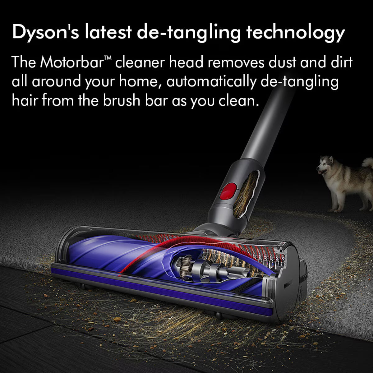 Dyson V8™ Advanced Stick Vacuum Cleaner