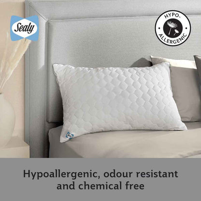 Sealy Deeply Full Pillow 2 Pack - Nonynana