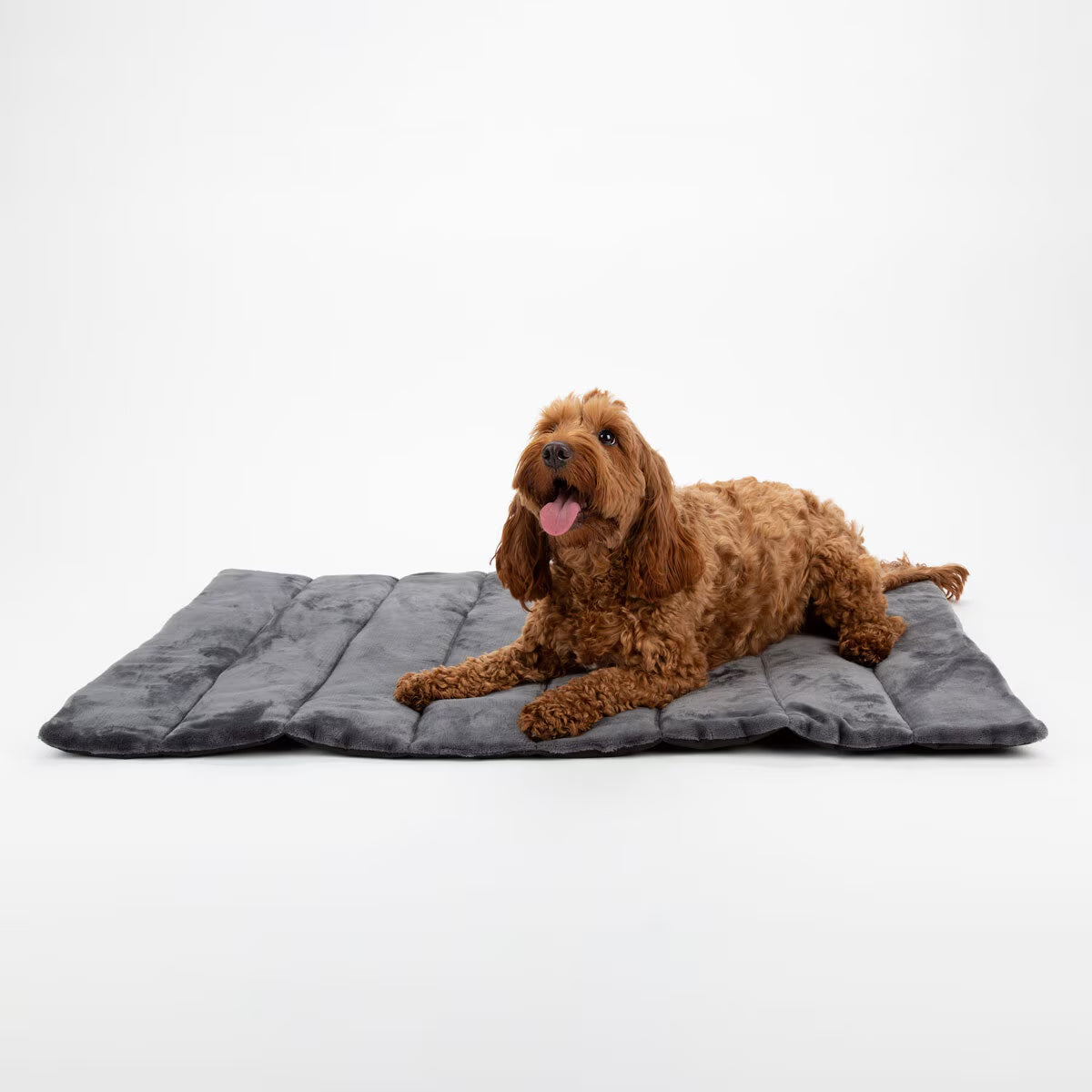 Scruffs Reversible Roll up Travel Bed, 100Cm X 70Cm in 3 Colours - Nonynana